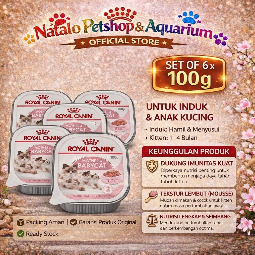 6 Pcs x Royal Canin Mother Baby Cat Tray 100GR