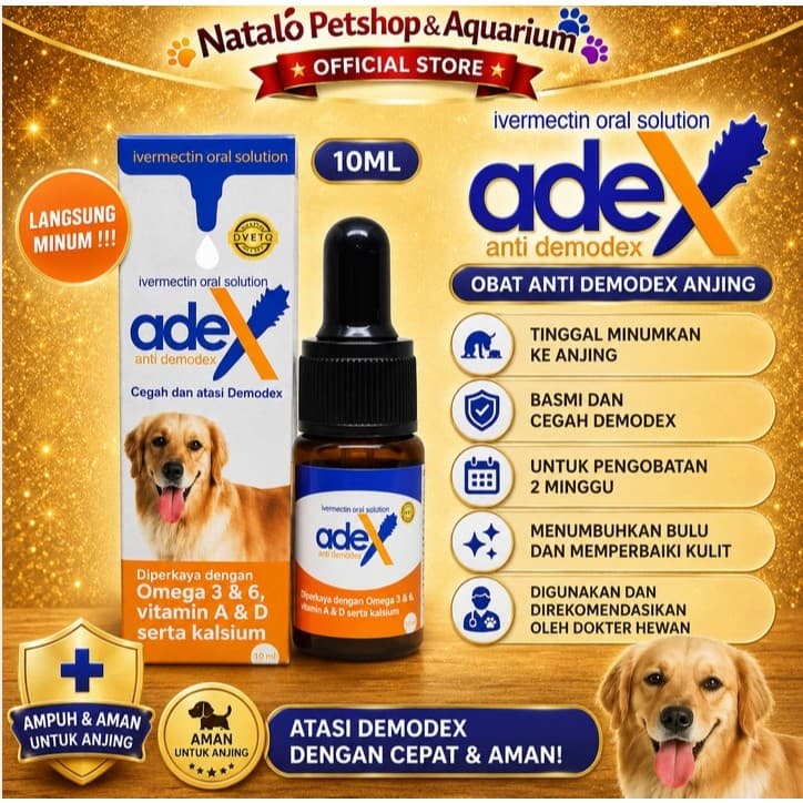 Obat & Suplemen