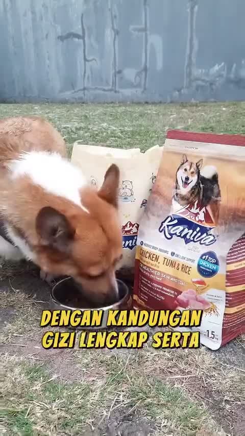 Kaniva Dog Lamb Tuna & Rice 3.2KG Dry Food - Skin Coat All Life Stages - Premium Makanan Anjing Kering rasa Domba Segala Usia Anak Dewasa Medium Large Breed Puppy Adult 3.2 KG - video produk